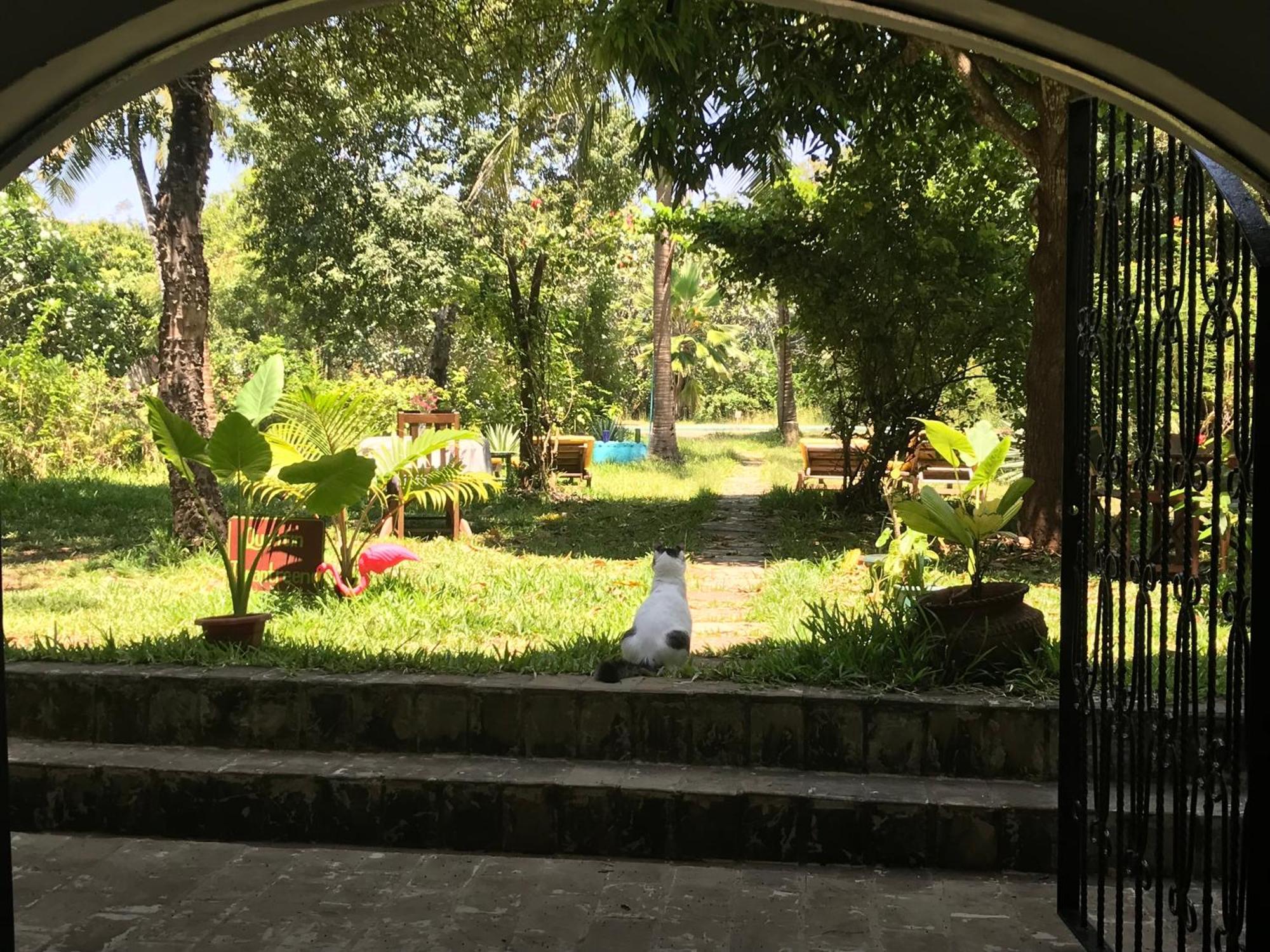 Hotel Footprints House Diani Beach Esterno foto